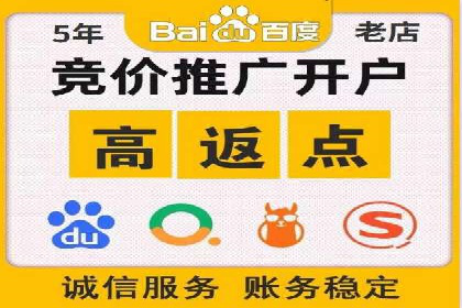 案例解读：SEO与SEM优化助力电商崛起